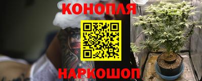 mix Заводоуковск