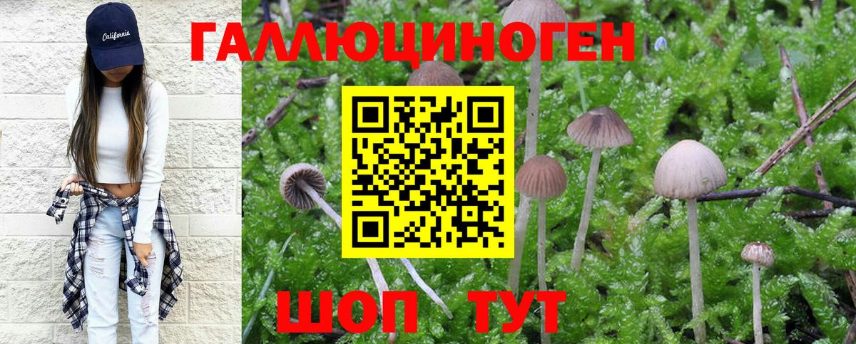 Псилоцибиновые грибы мухоморы Находка