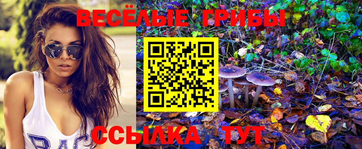 Галлюциногенные грибы Cubensis  Вход с VPN  Находка 